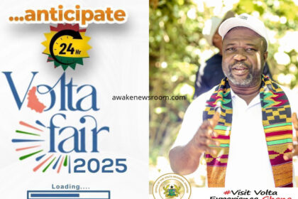 Volta Fair 2025